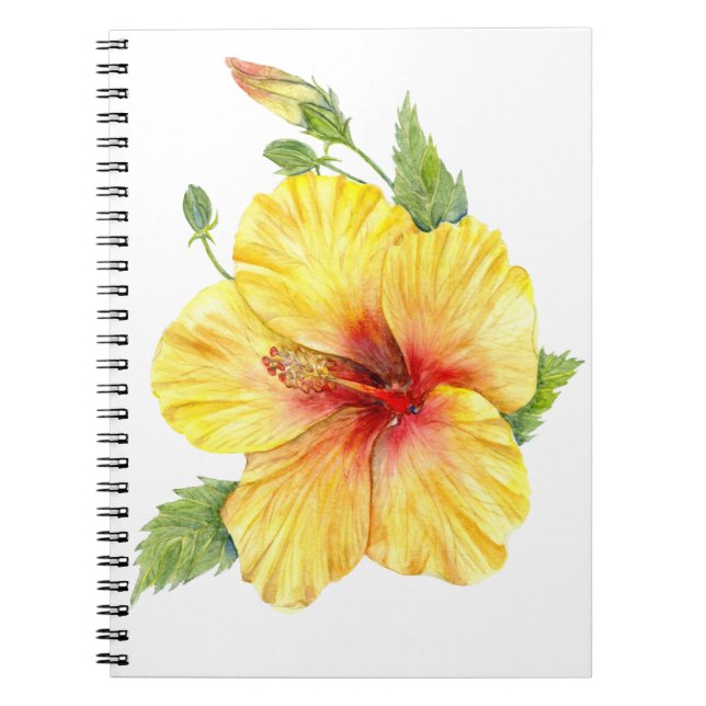 Gult Hibiscus botaniska konst Anteckningsbok (Framsidan)