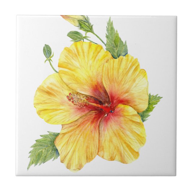 Gult Hibiscus botaniska konst Kakelplatta (Framsidan)