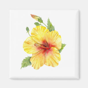 Gult Hibiscus botaniska konst Magnet