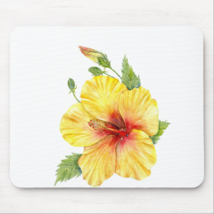 Gult Hibiscus botaniska konst Musmatta