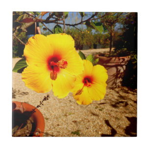 Gult Hibiscus Ceramic Tile Kakelplatta