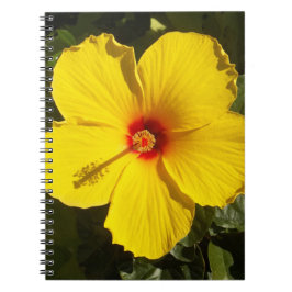 Gult Hibiscus Flower Anteckningsbok Med Spiral