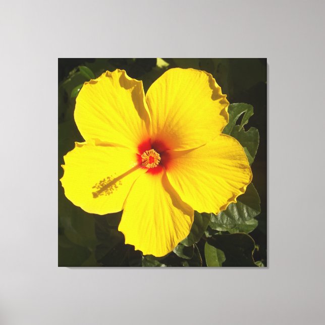 Gult Hibiscus Flower Canvastryck (Framsida)
