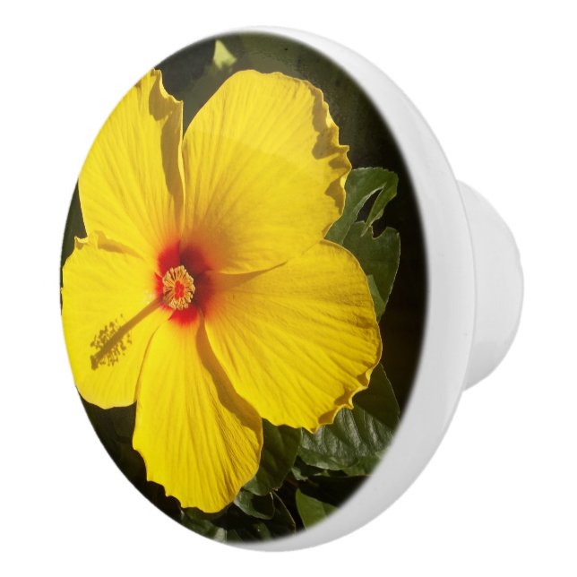 Gult Hibiscus Flower Ceramic Knob Knopp (Höger)