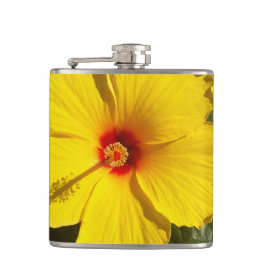 Gult Hibiscus Flower Fickplunta