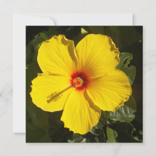 Gult Hibiscus Flower Inbjudningar