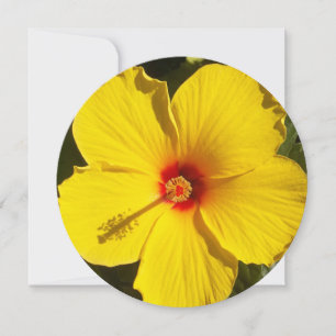 Gult Hibiscus Flower Inbjudningar