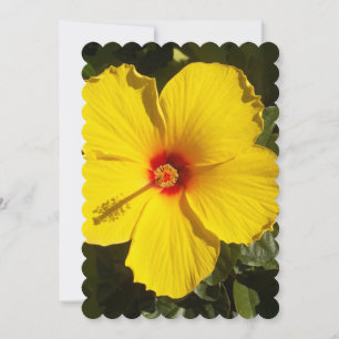 Gult Hibiscus Flower Inbjudningar