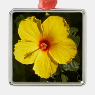 Gult Hibiscus Flower Julgransprydnad Metall