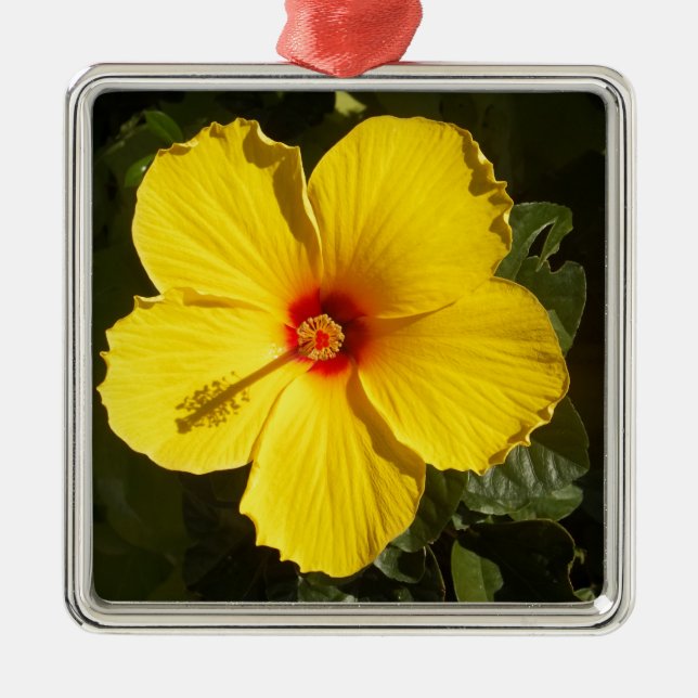 Gult Hibiscus Flower Julgransprydnad Metall (Framsidan)