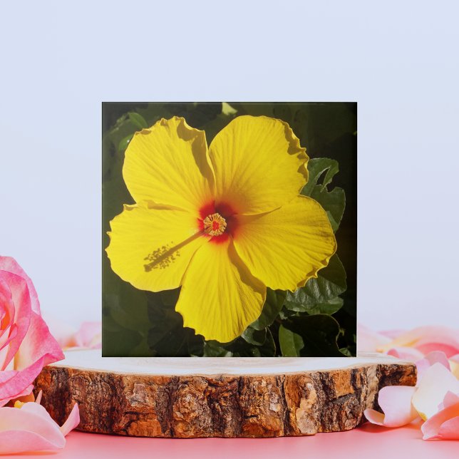 Gult Hibiscus Flower Kakelplatta (Yellow Hibiscus Flower Ceramic Tile)