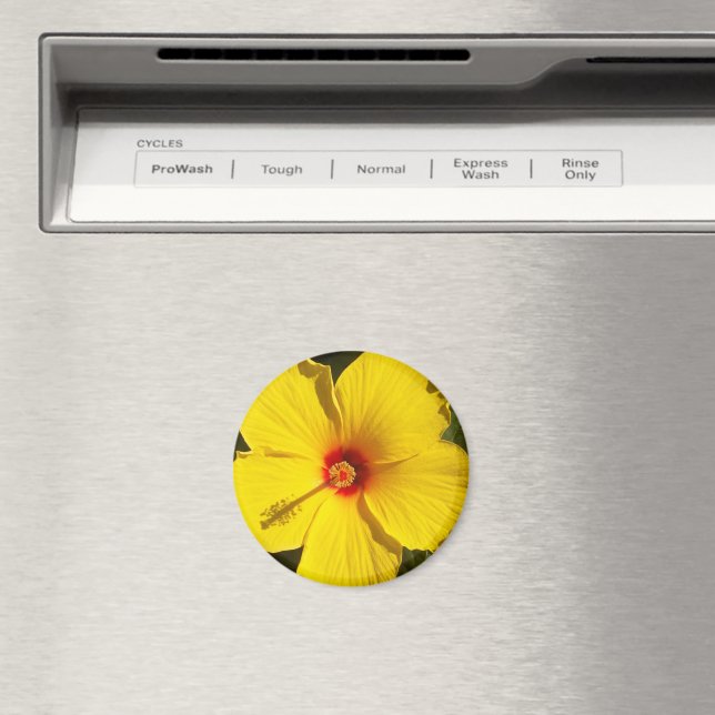 Gult Hibiscus Flower Magnet (In Situ (Dishwasher))
