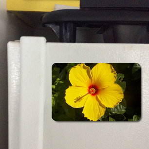 Gult Hibiscus Flower Magnet