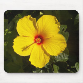 Gult Hibiscus Flower Musmatta