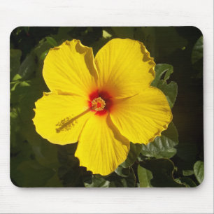 Gult Hibiscus Flower Musmatta