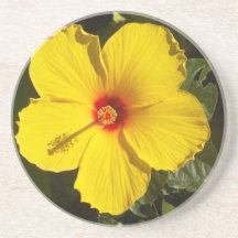 Gult Hibiscus Flower