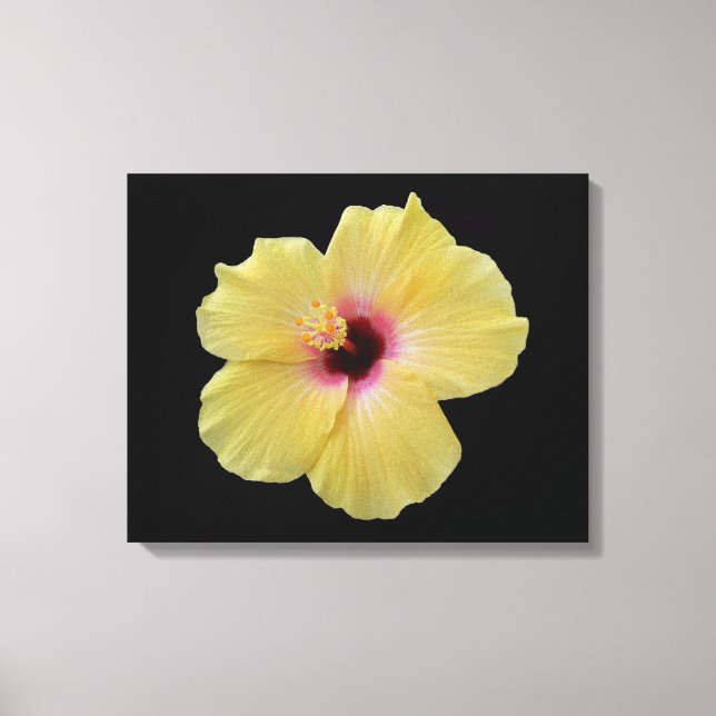 Gult Hibiscus Flower Wrapped Canvas (Framsida)