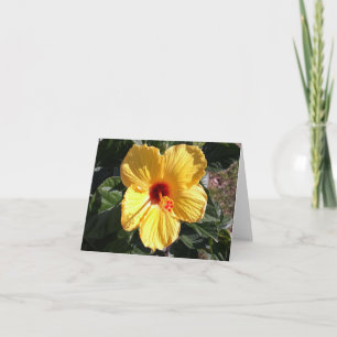 Gult Hibiscus fotomappat anteckningskort
