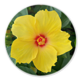 Gult Hibiscus keramisk knopp