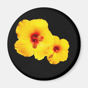 Gult Hibiscus Magnet