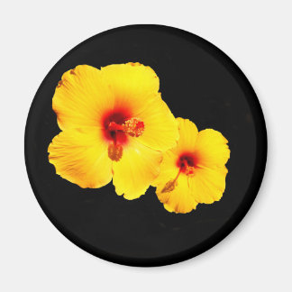 Gult Hibiscus Magnet