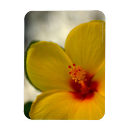 Gult Hibiscus Magnet