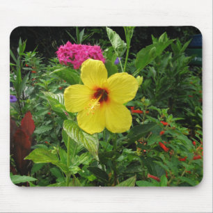 Gult Hibiscus Musmatta