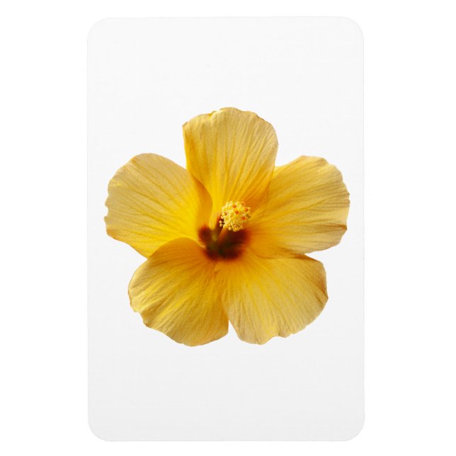 Gult Hibiscus Tropical Flower Flowers Blommigt Magnet (Vertikal)