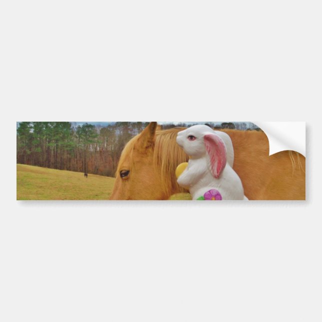 Gult Horse, Vår Bildekal (Framsidan)
