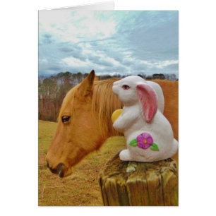 Gult Horse, Vår Hälsningskort