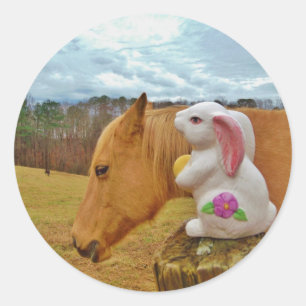 Gult Horse, Vår Runt Klistermärke