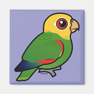 Gult-hövdad amason magnet