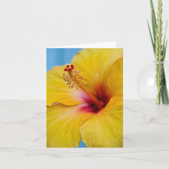 Gult Hybiscus Flower Notecard Kort (Framsida)