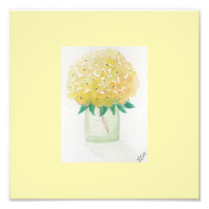Gult Hydrangea Fototryck