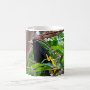 Gult-idisslad cacique kaffemugg