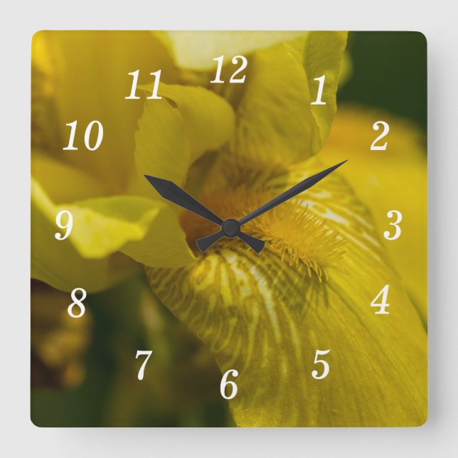 Gult Iris Beard Wall Clock Fyrkantig Klocka (Framsida)