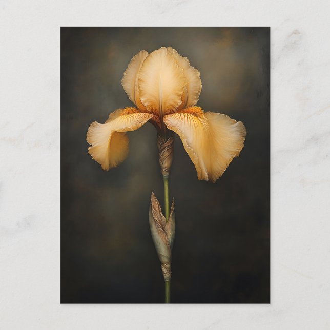 Gult Iris botaniska målning Vykort (Framsida)
