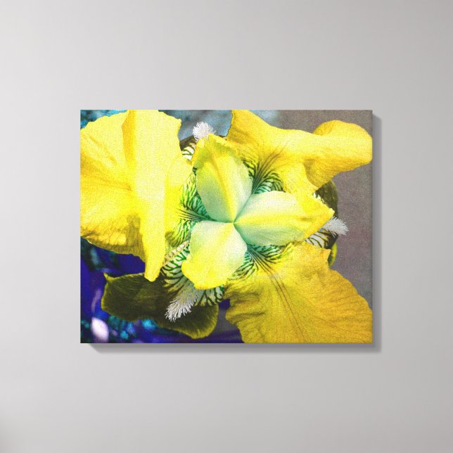Gult Iris Canvas (Framsida)