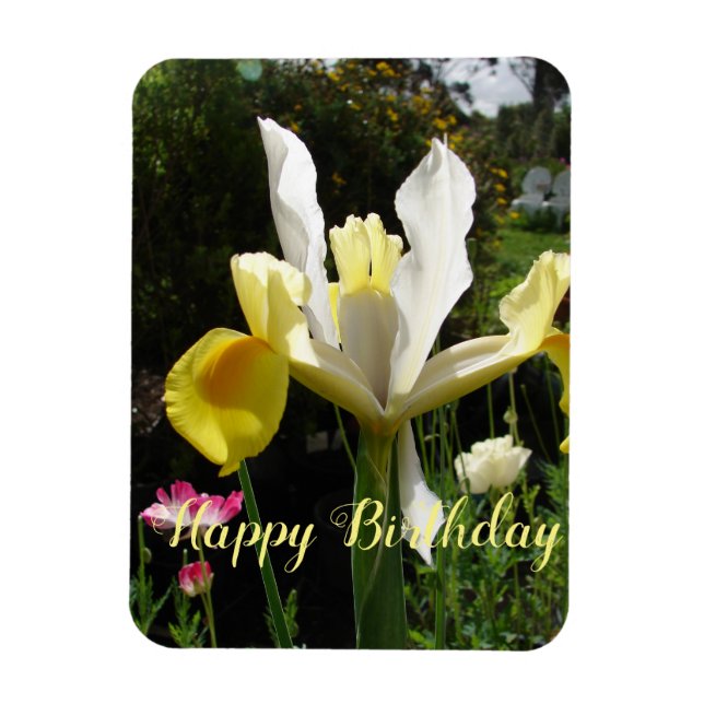 Gult Iris Flower Blommigt Birdday Irises Magnet (Vertikal)