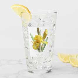 Gult Iris Flower Botanical Art Glaskopp