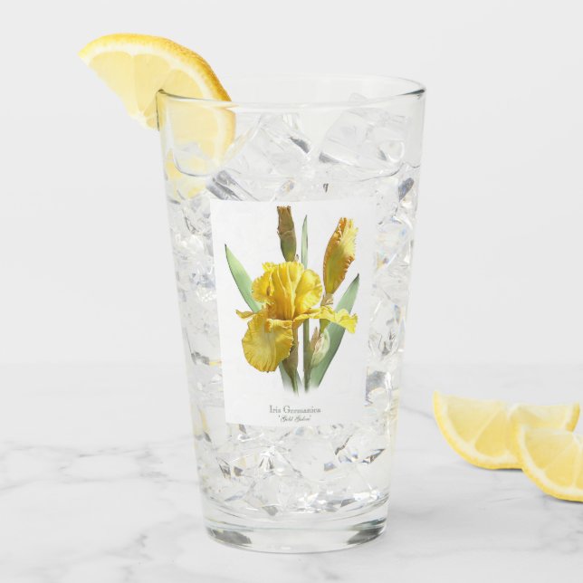 Gult Iris Flower Botanical Art Glaskopp (Framsida Ice)