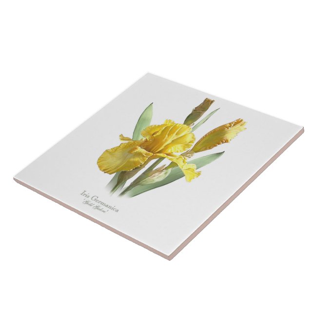 Gult Iris Flower Botanical Stil Art Kakelplatta (Sidan)