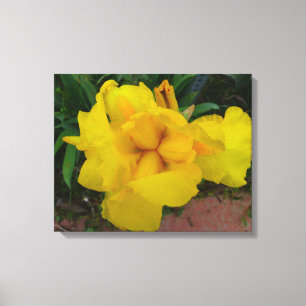 Gult Iris Flower Canvas