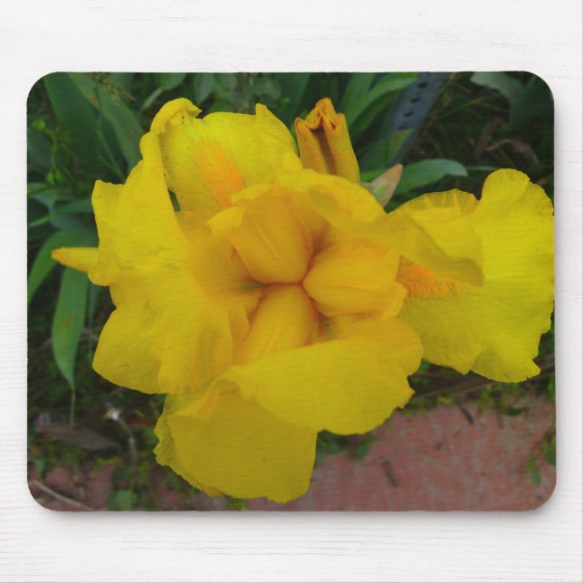 Gult Iris Flower Mousepad Musmatta (Framsidan)