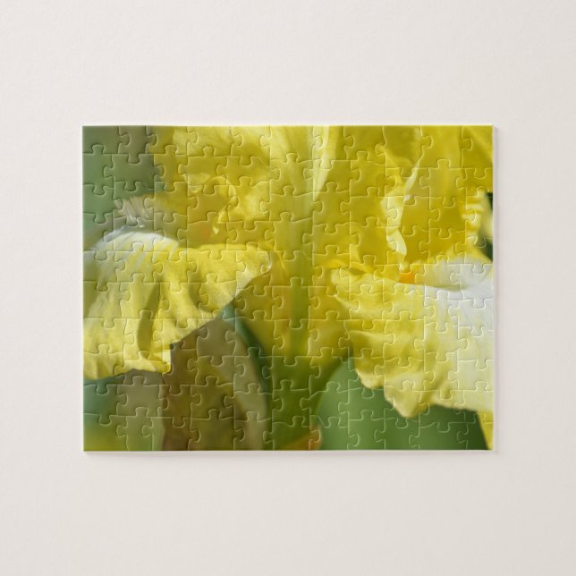 Gult Iris Flower Pussel (Horisontell)