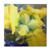 Gult Iris Flower Tile