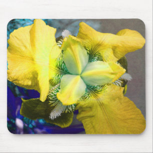 Gult Iris Mousepad Musmatta