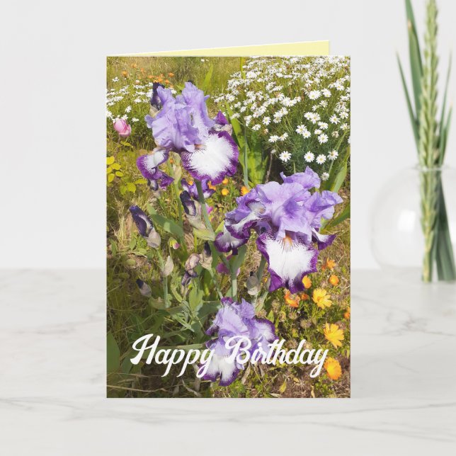 Gult Iris och Irises Flower Blommigt Card Kort (Framsida)