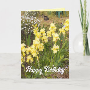 Gult Iris och Tabby katt Flower Blommigt Card Kort