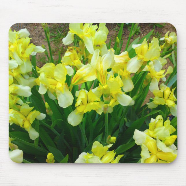 Gult Iris Patch Flower MousePad Musmatta (Framsidan)
